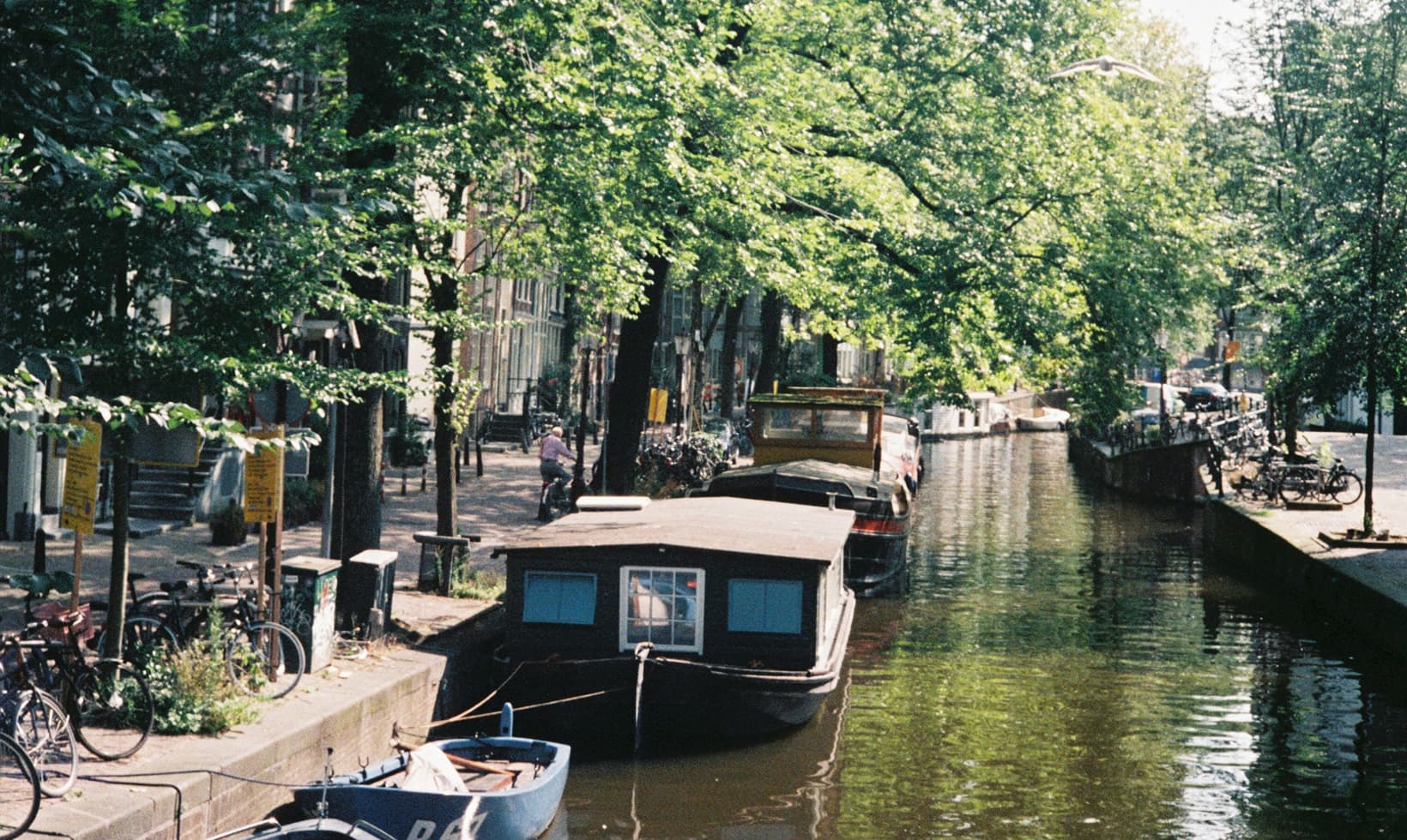 Best social clubs for expats in Amsterdam