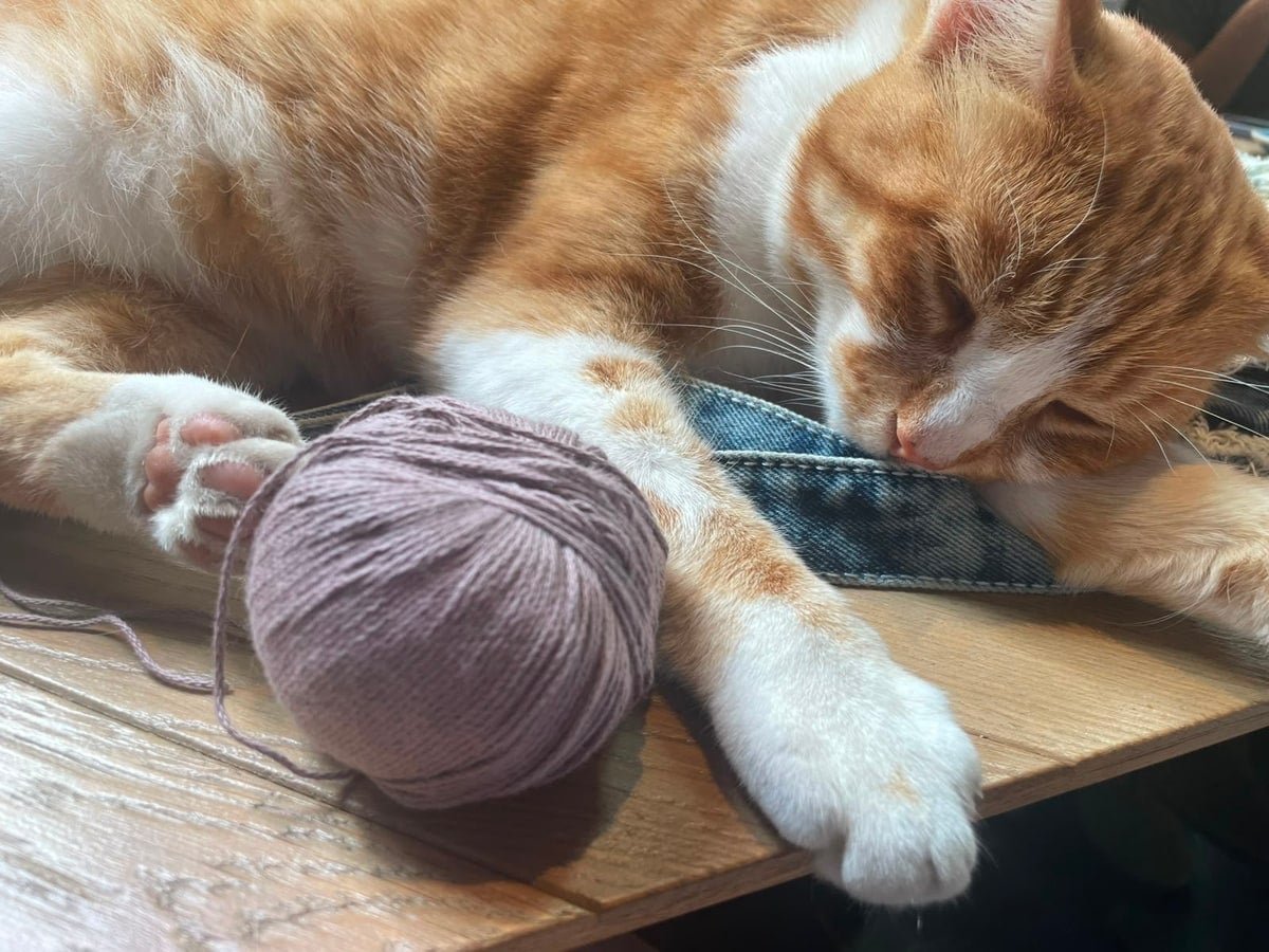 Utrecht Yarn & Crafts photo 1
