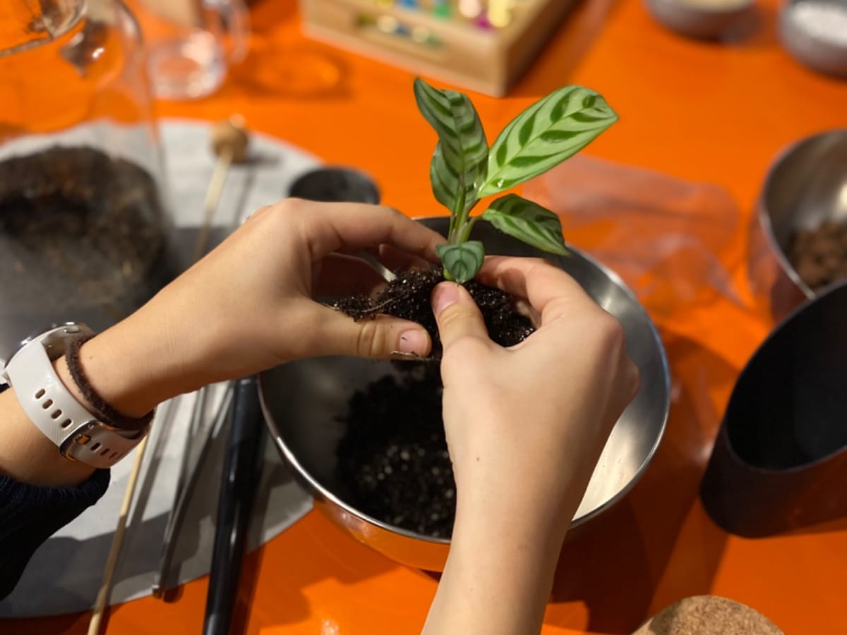 Youplant Amsterdam gallery image