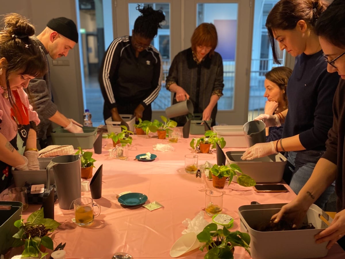 Youplant Amsterdam photo 5