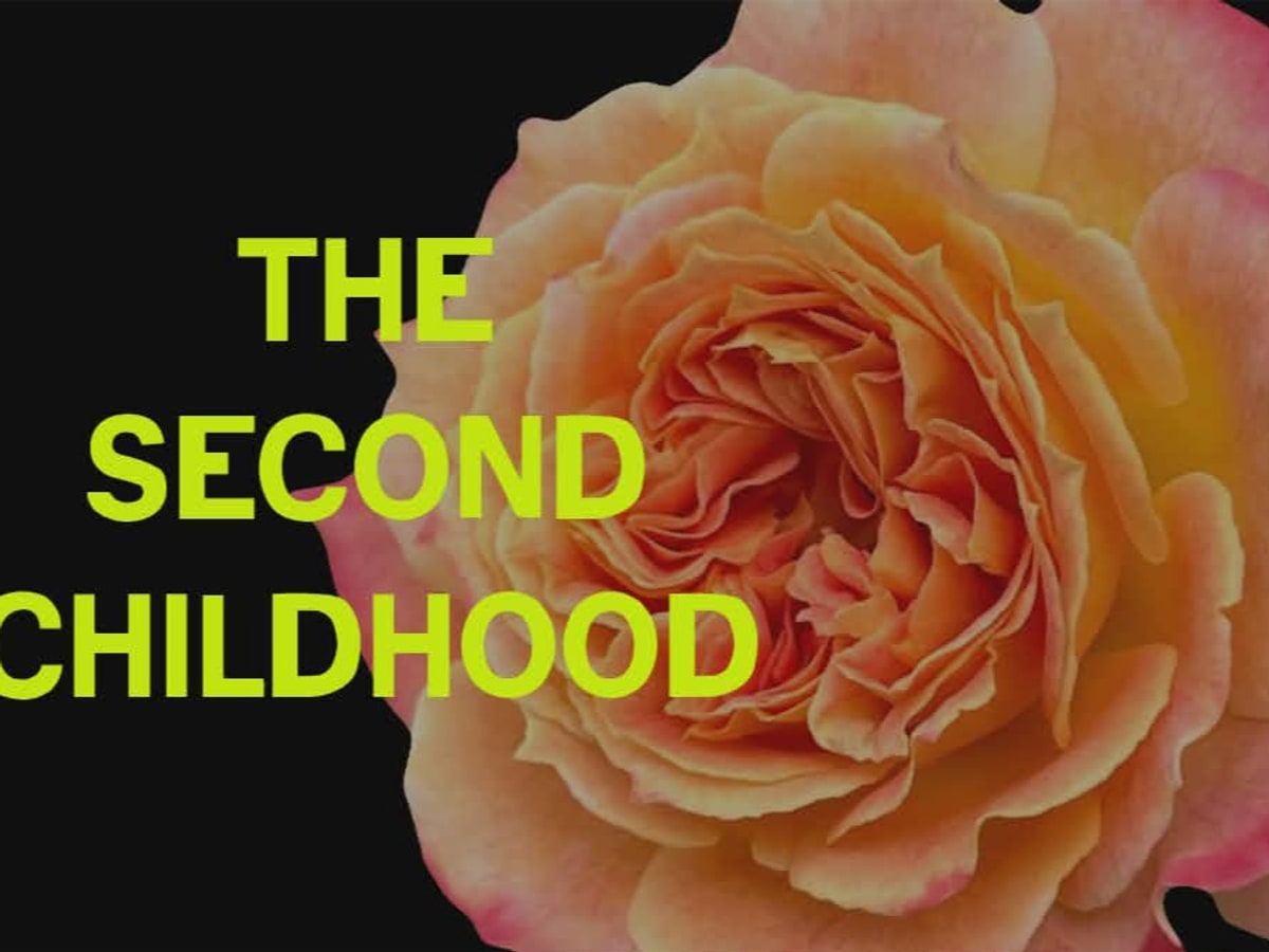 The Second Childhood image