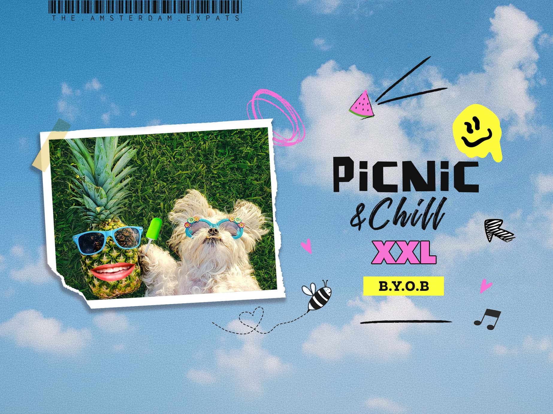 ☀️ Picnic & Chill XXL ☀️ @ Vondelpark (Communities Gathering)