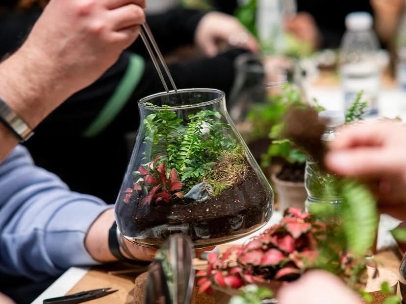 Terrarium workshop in Rotterdam
