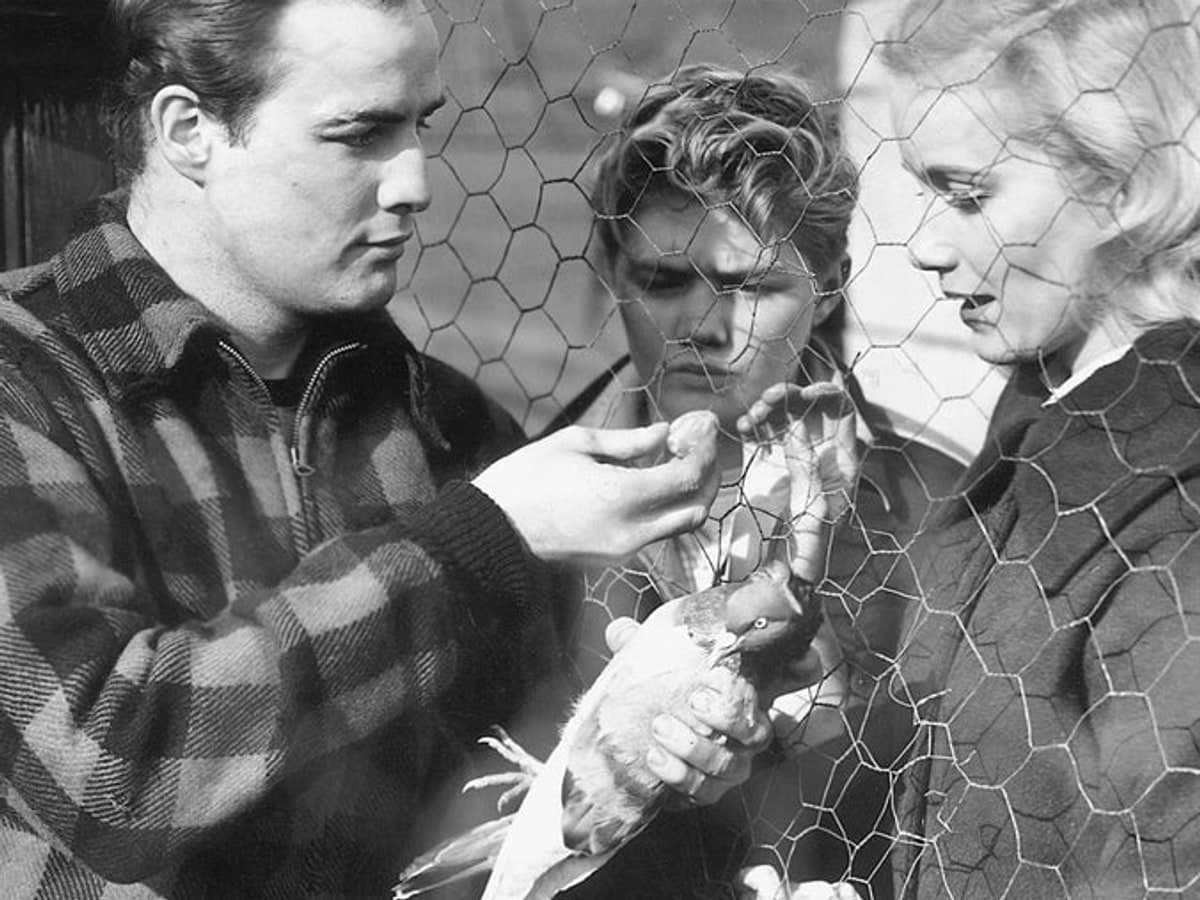 On the Waterfront (4K Restoration) (English – No Subtitles)