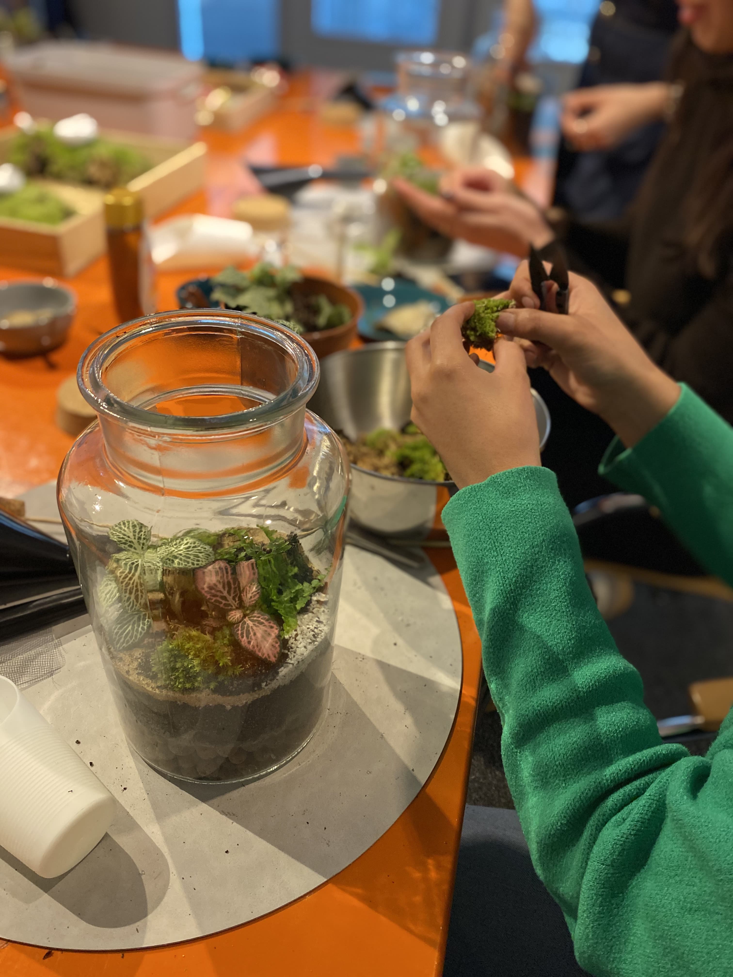 Build your own terrarium