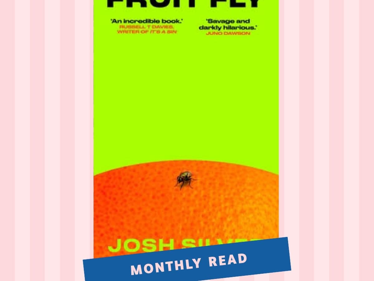 Fruit Fly by Josh Silver