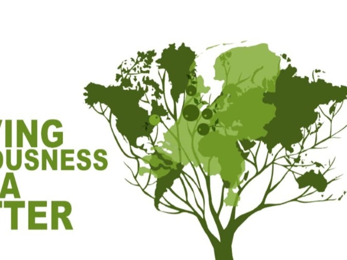 Wasteless Wedesdays at the Dokhuis