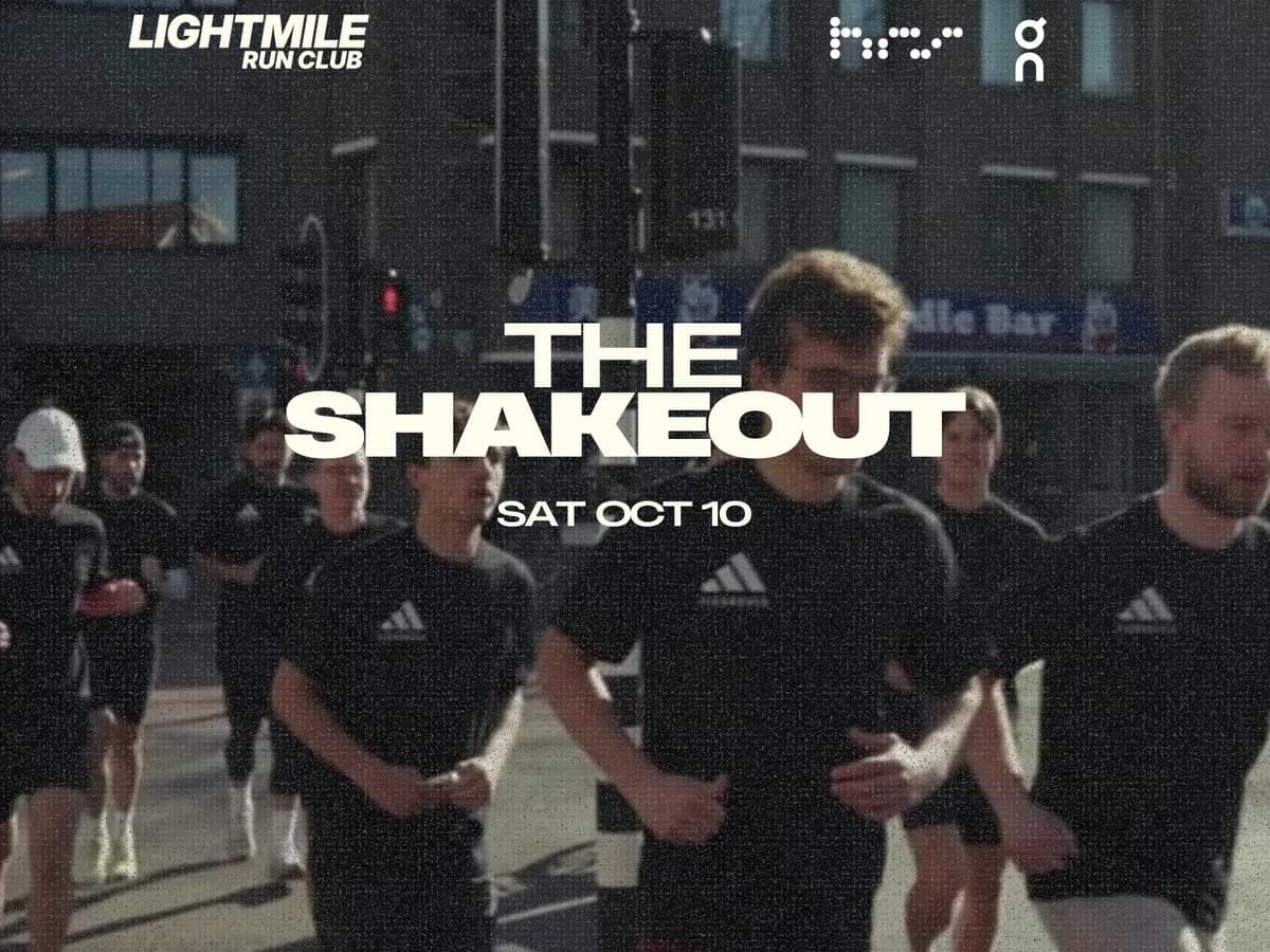 THE SHAKEOUT