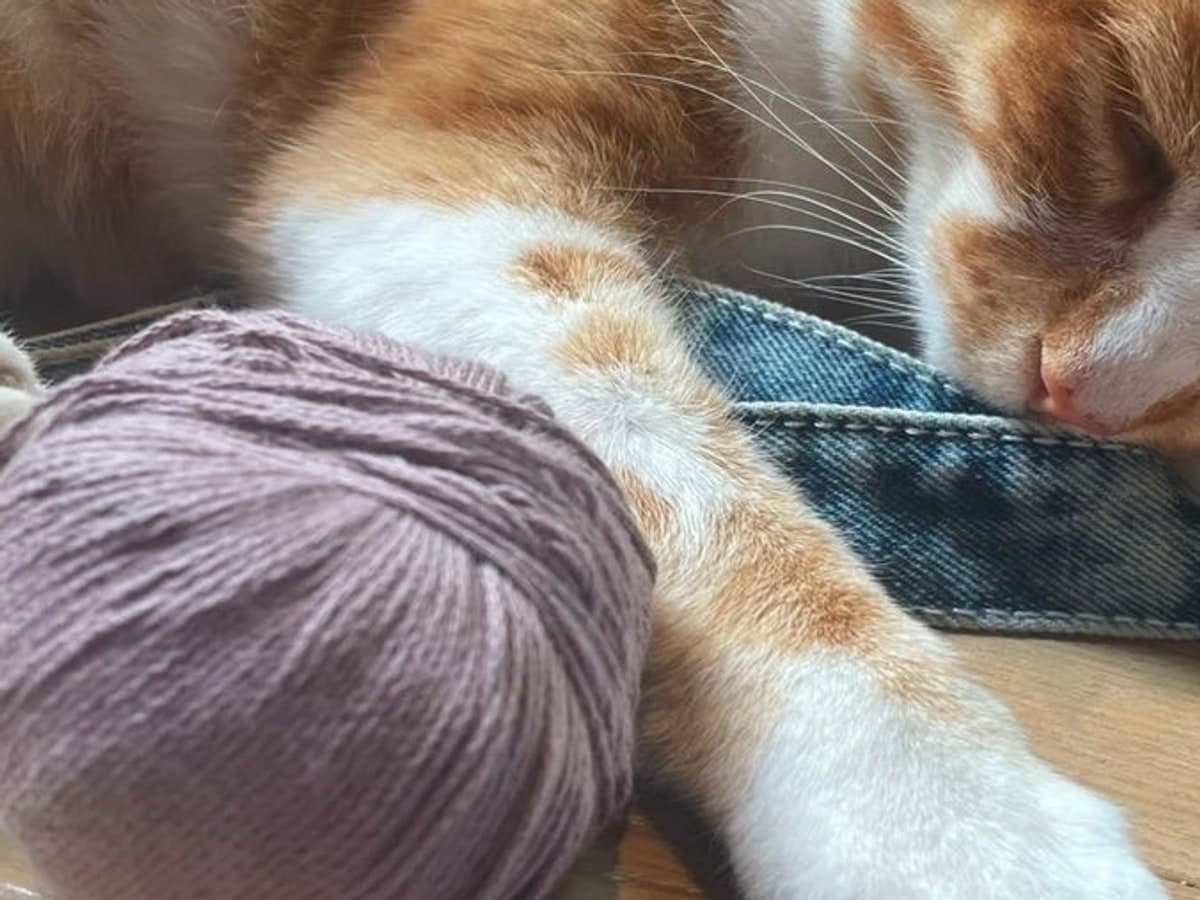 ☕️ Chat & Craft 🧶