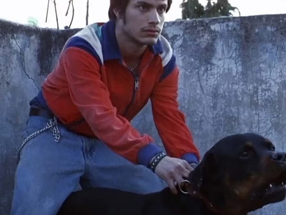 Amores Perros (4K Restoration) (Spanish w/ English Subtitles)